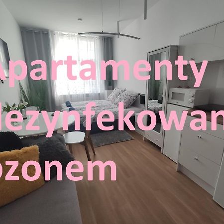 Apartament Elblag Goodenergy - Stare Miasto, Oldtown, Altstadt Exterior foto